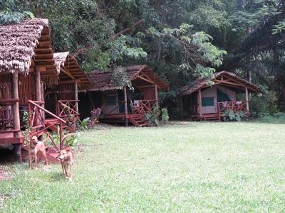 Simbamwenni Lodge And Camping Morogoro Exteriér fotografie